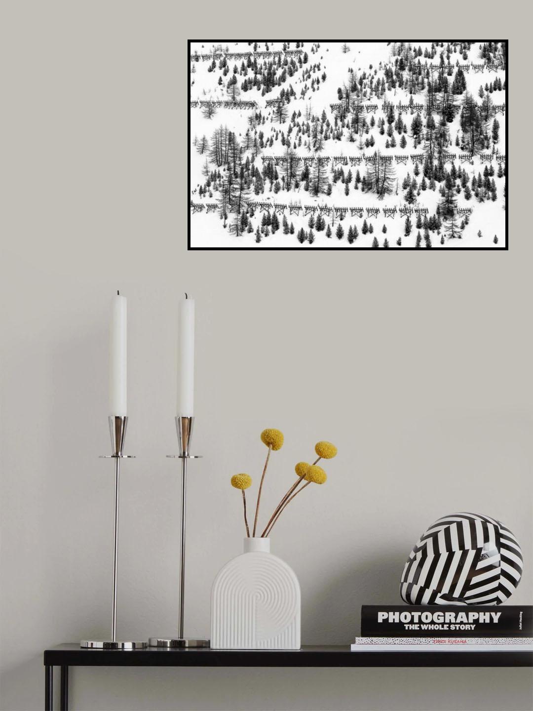 trees and fences Poster och Canvastavla