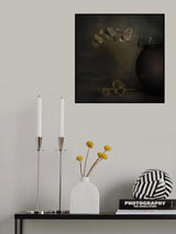 One Side Revealed Poster och Canvastavla