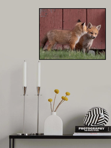 Buddies Poster och Canvastavla