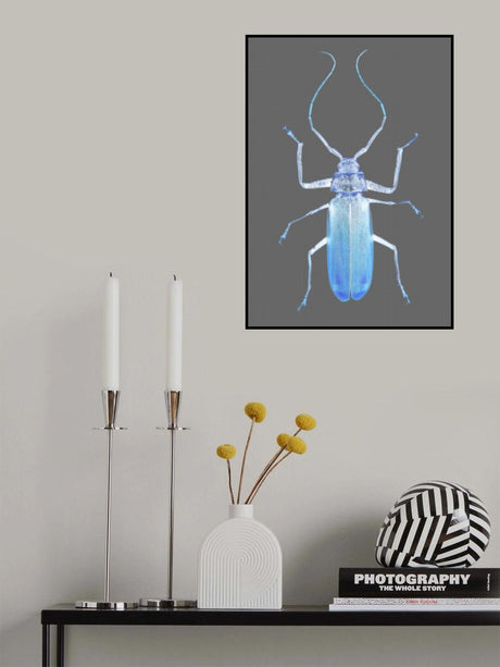 Insect Evolution Poster och Canvastavla