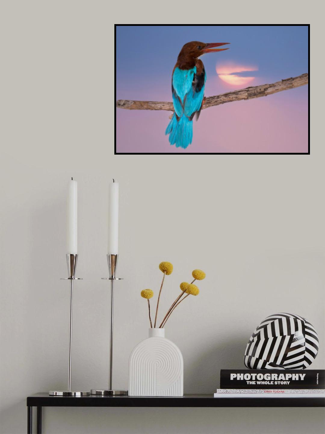 White-throated Kingfisher Poster och Canvastavla