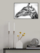 Maasai giraffe Poster och Canvastavla
