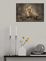 Puppy Poster och Canvastavla