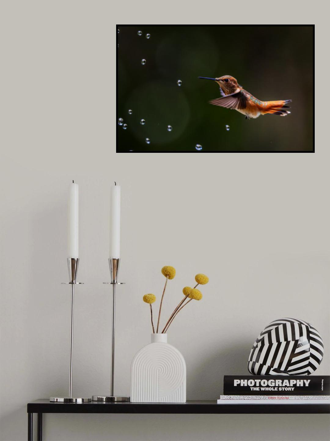 Hummingbird and Water Bubbles Poster och Canvastavla