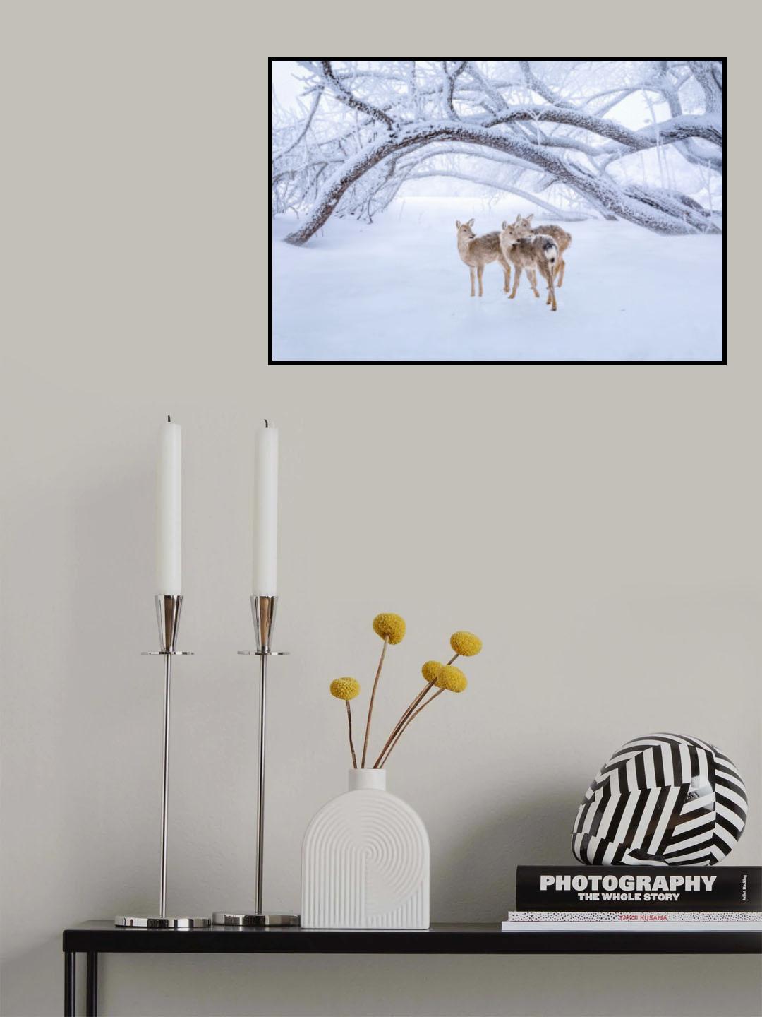 Deers' Walk in Snow Poster och Canvastavla