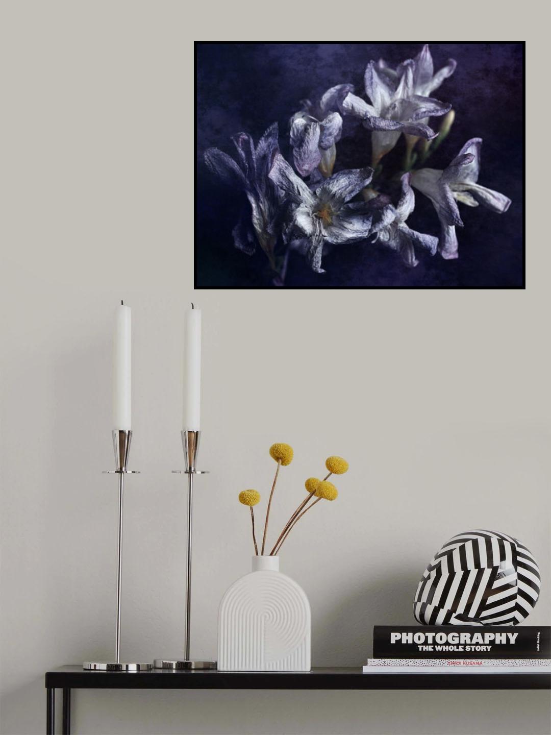 faded song Poster och Canvastavla