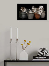 Dog plants Poster och Canvastavla