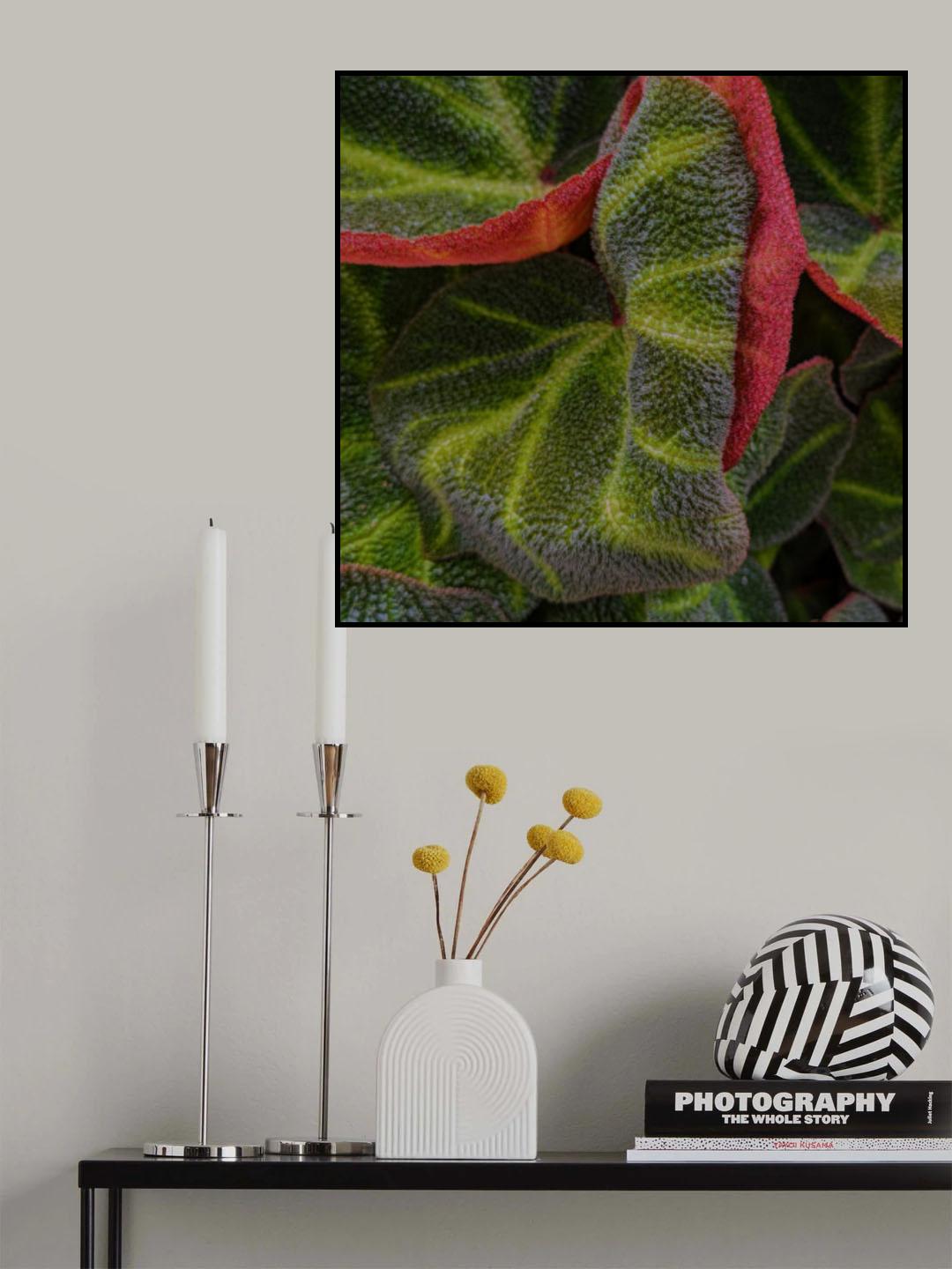 Red Edges Poster och Canvastavla