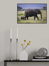 Life Poster och Canvastavla