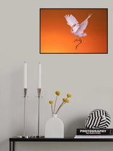 Dance at Dawn Poster och Canvastavla