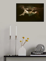 The other side Poster och Canvastavla