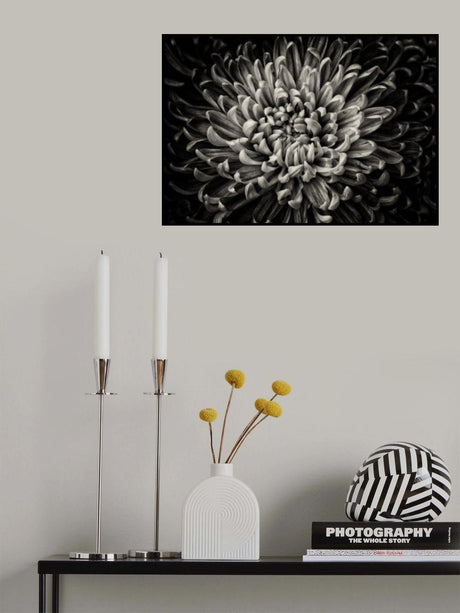 Untitled Poster och Canvastavla