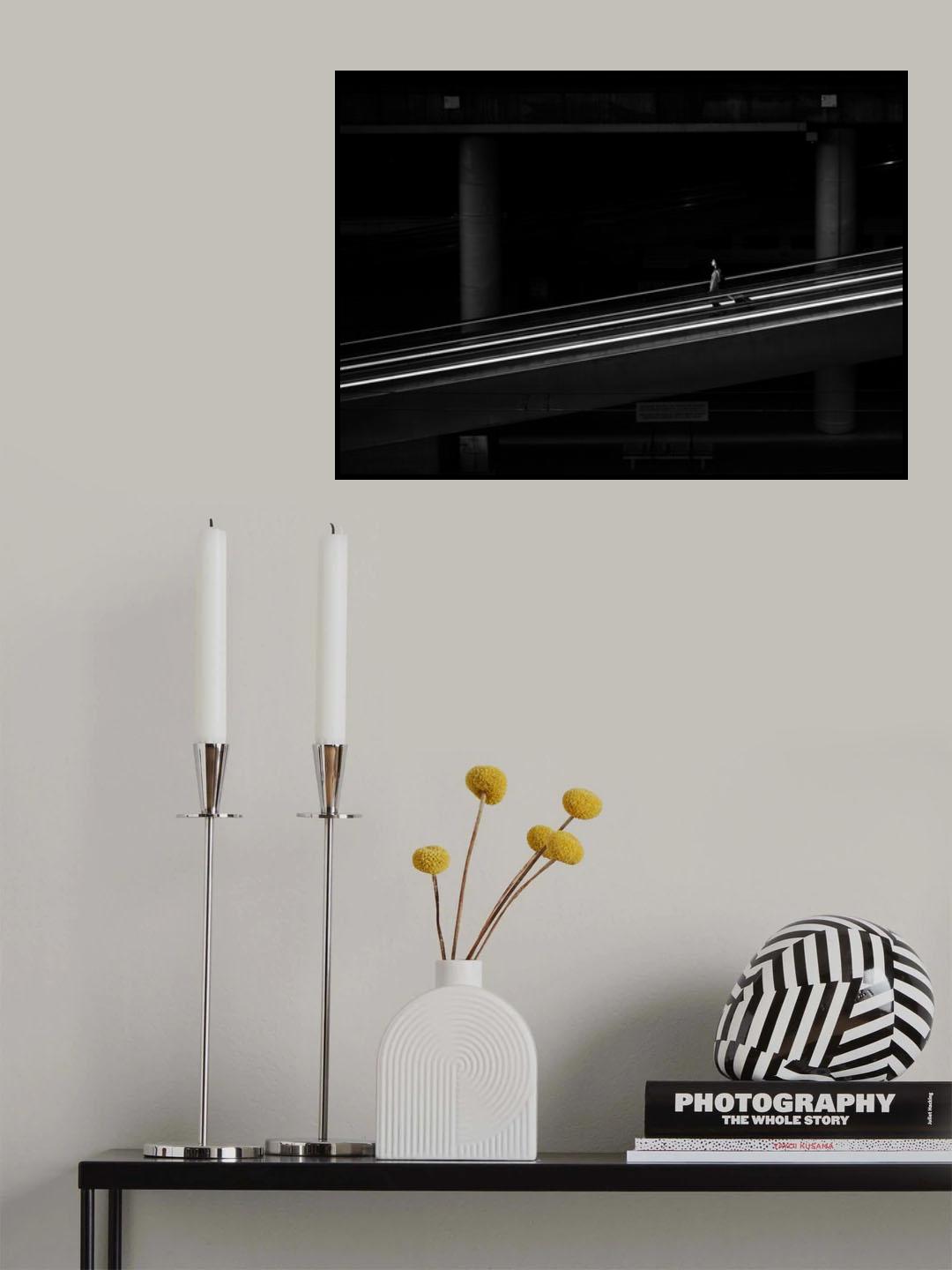 Transfer II Poster och Canvastavla