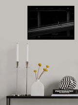 Transfer II Poster och Canvastavla
