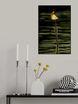 My prize Poster och Canvastavla