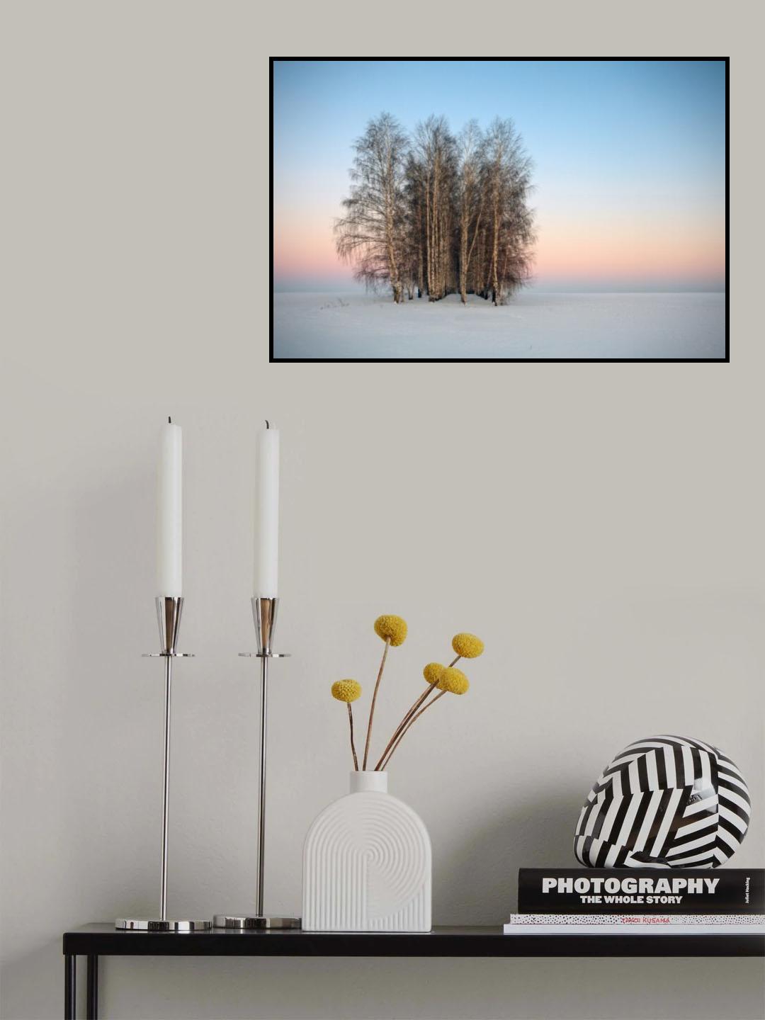 Frozen Spaces Poster och Canvastavla