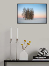 Frozen Spaces Poster och Canvastavla