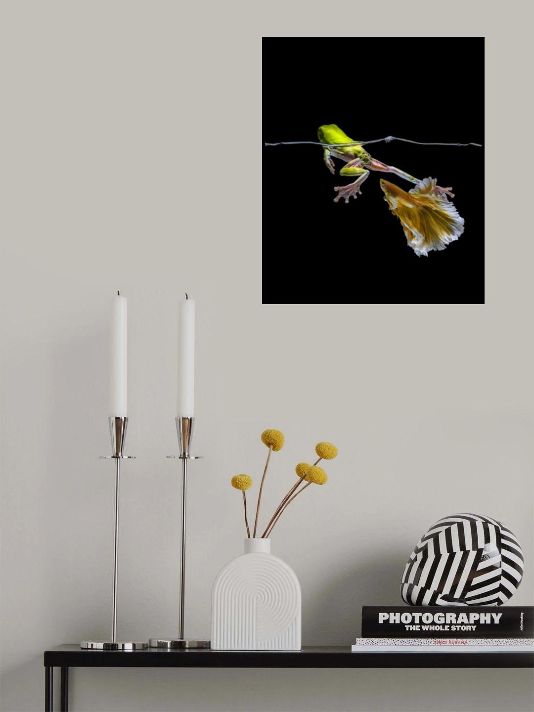 Cath me if you Can! Poster och Canvastavla