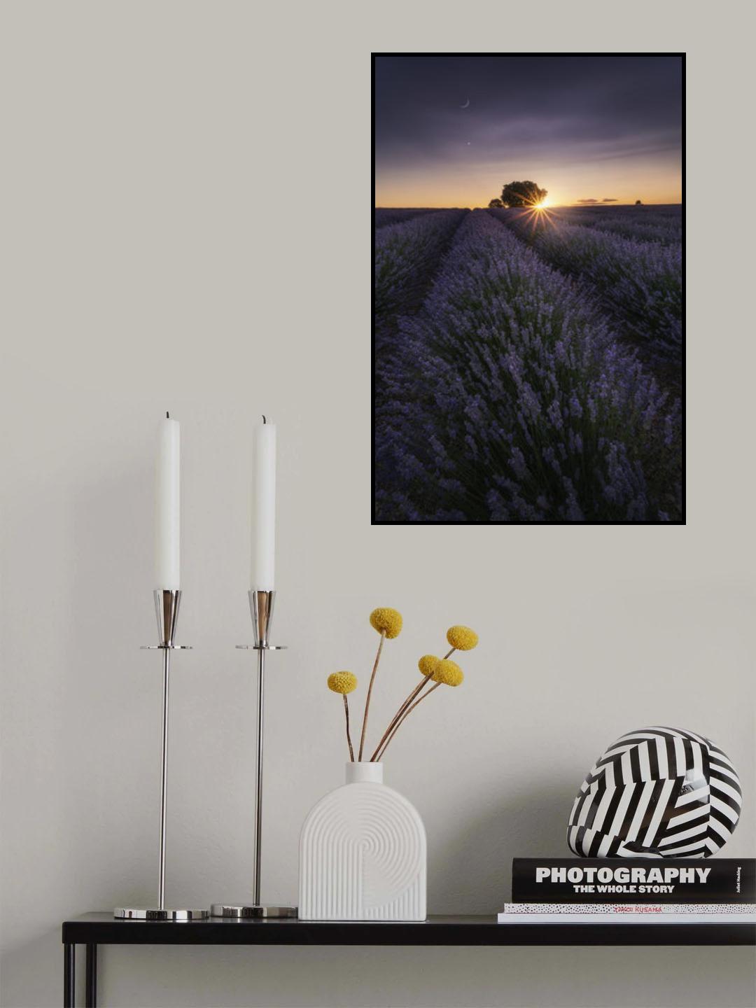 Conjunction Poster och Canvastavla