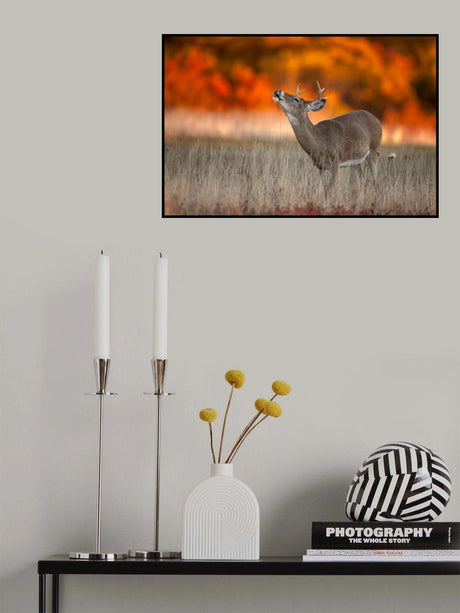 Autumn Fire Poster och Canvastavla
