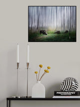 September snow in YS Poster och Canvastavla
