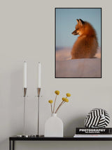 Red Fox Poster och Canvastavla