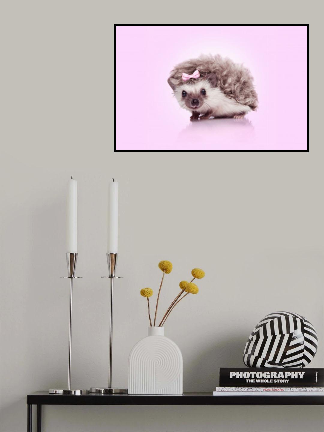 Curvy Hedgehog Poster och Canvastavla