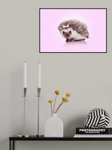 Curvy Hedgehog Poster och Canvastavla