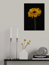 Beautiful flower Poster och Canvastavla