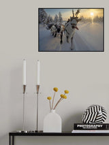 Frozen ride in tundra Poster och Canvastavla