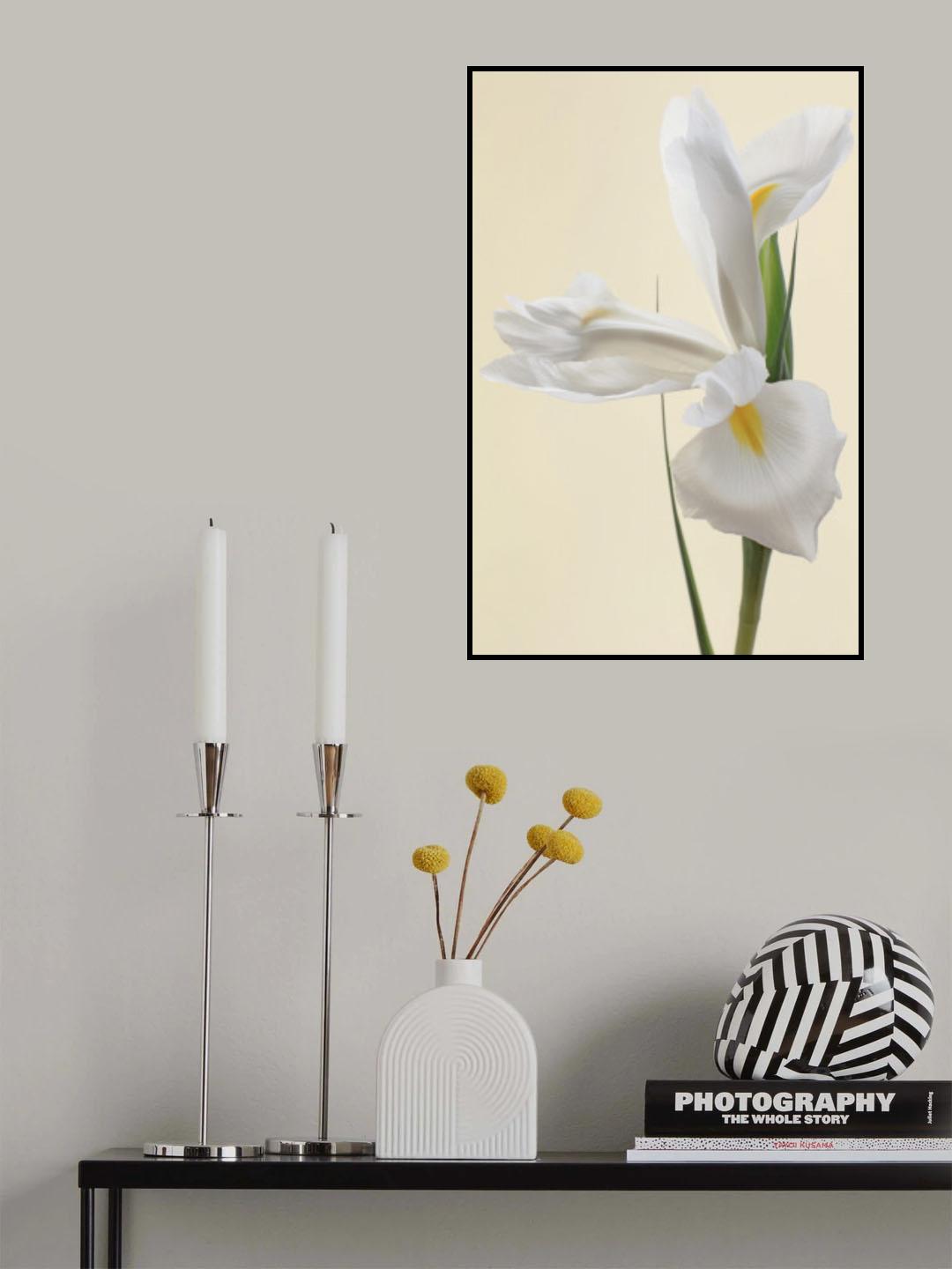 White Iris Flower Portrait Poster och Canvastavla