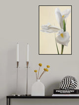 White Iris Flower Portrait Poster och Canvastavla