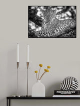 Monochrome beauty Poster och Canvastavla