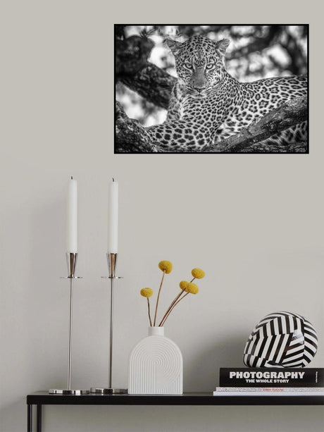Monochrome beauty Poster och Canvastavla