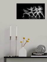 Fencing steps Poster och Canvastavla