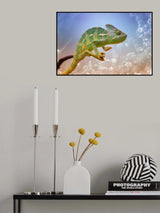 Chameleon Poster och Canvastavla