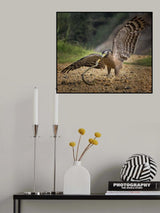 Face to Face Poster och Canvastavla