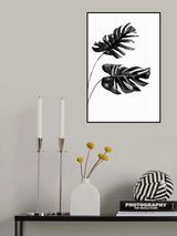Monstera Black and White 04 Poster och Canvastavla