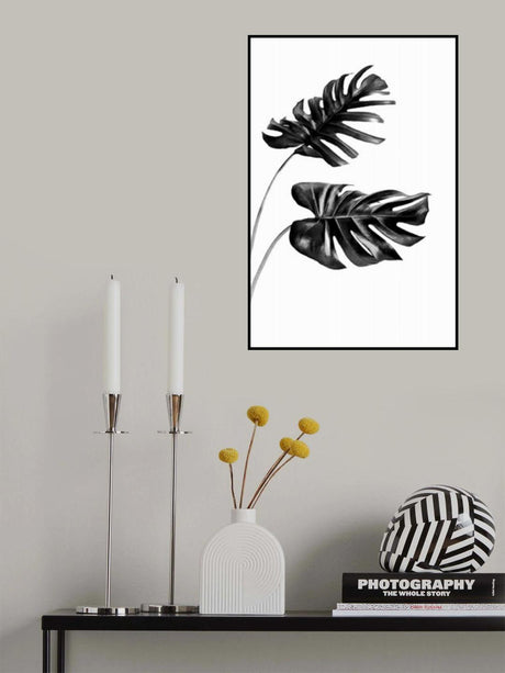 Monstera Black and White 04 Poster och Canvastavla
