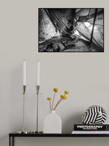 Too soon Poster och Canvastavla