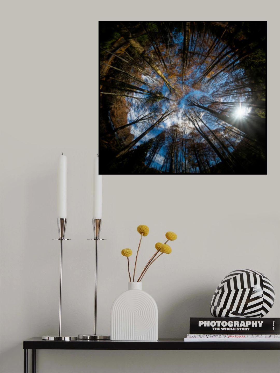 ...Earth Poster och Canvastavla