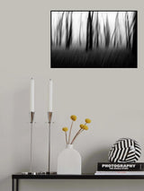 Dancing trees in the fog Poster och Canvastavla