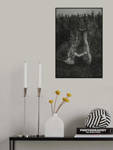 * Poster och Canvastavla