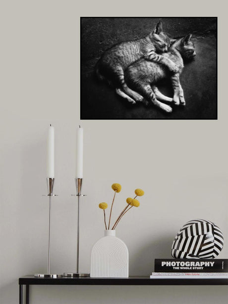 Soulmate Poster och Canvastavla