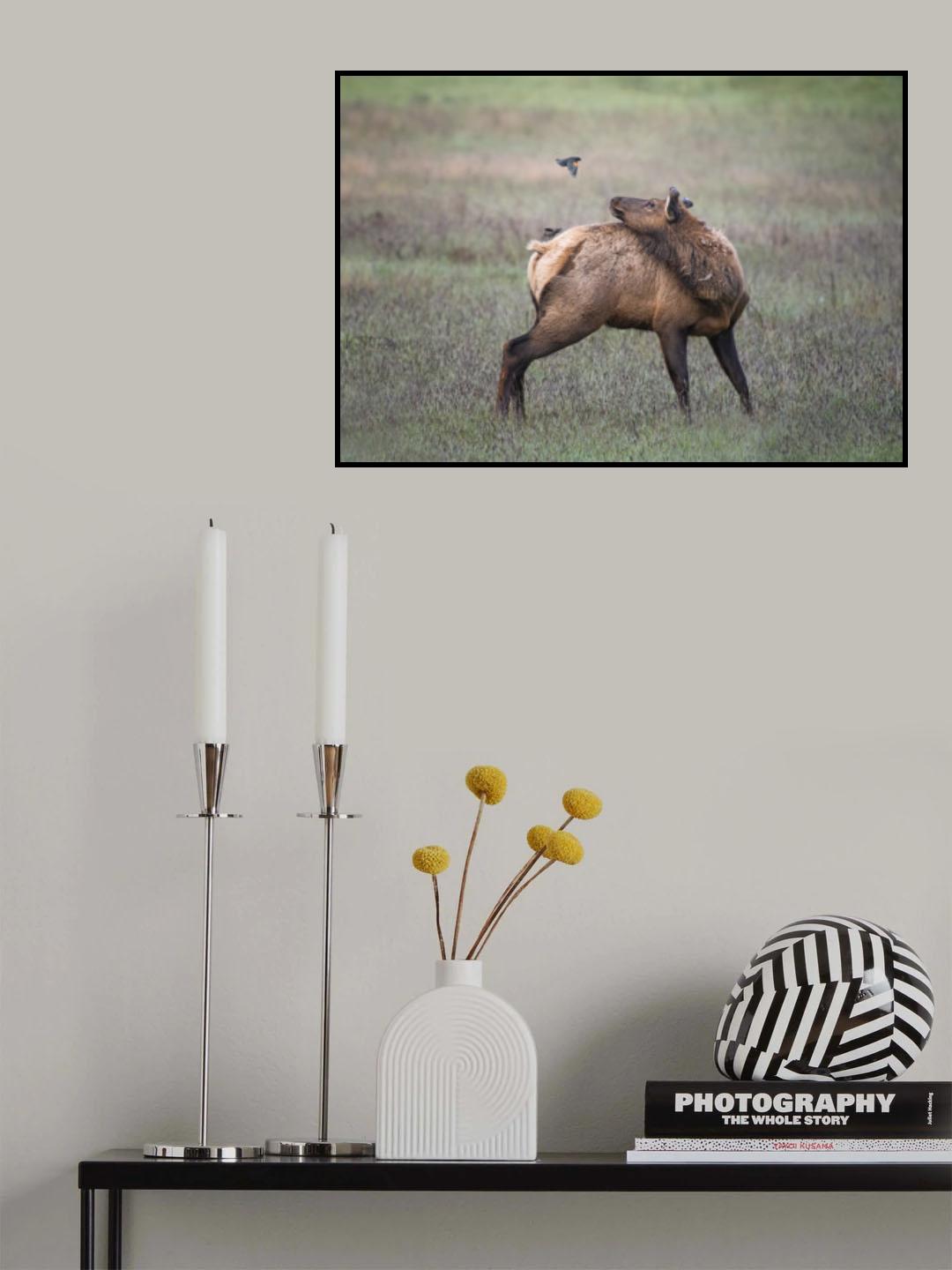 Hello Poster och Canvastavla