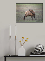 Hello Poster och Canvastavla