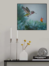 I Am Coming Poster och Canvastavla