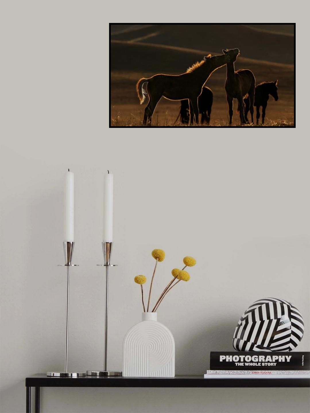 Is that a sunset kiss? Poster och Canvastavla