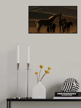 Is that a sunset kiss? Poster och Canvastavla