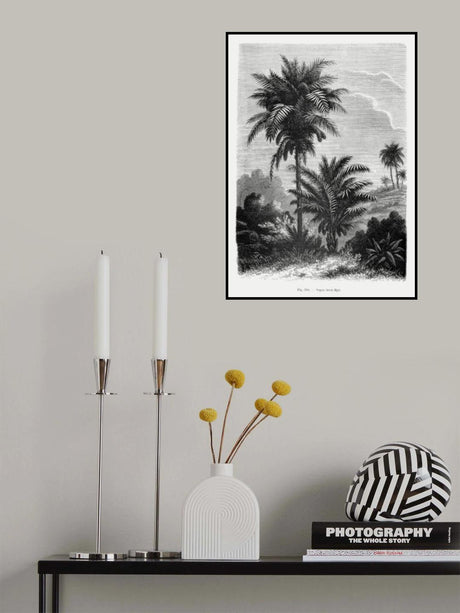 Vintage Palm Tree Drawing V Poster och Canvastavla